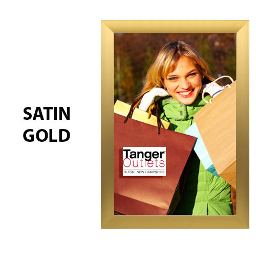 SwingSnap Extra Large Front Loading Poster Snap Frames 2 1/2" Wide Edge Profile in 25+ Sizes & Custom